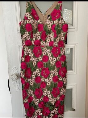 Xscape Fuchsia & Green Floral Embroidered Midi Dress